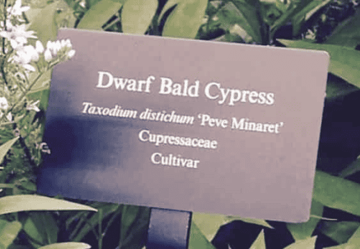 Mounted Anodized Aluminum Plant Label