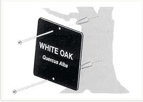 Style 1 Mounting for Trees with springs