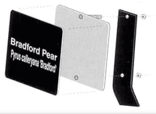 Style 3 Mounting with a hidden screw mount backplate