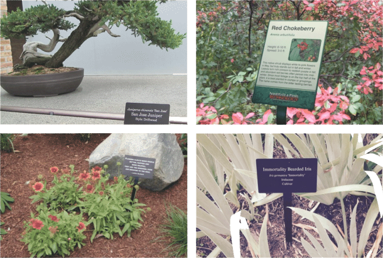 custom-garden-informational-signs-my-plant-label